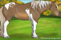Horse Color:Chocolate Palomino Tobiano Varnish 