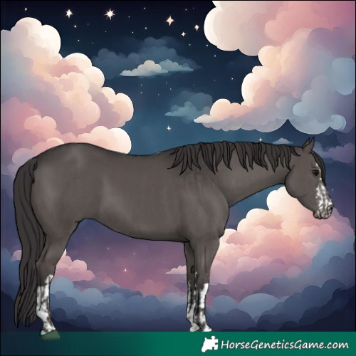Horse Color:Smoky Black  and Smoky Black 