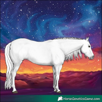 Horse Color:Gray Bay Frame  and Gray Bay Splash Frame 