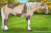 Horse Color:Silver Blue Roan Splash Tobiano  and Silver Classic Champagne Roan Splash Tobiano 