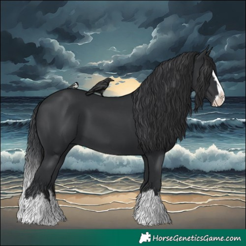 Horse Color:Black Splash 