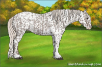 Horse Color:Silver Blue Roan Splash Tobiano  and Silver Blue Roan Splash Tobiano Near Leopard 