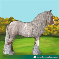 Horse Color:Silver Blue Roan Splash Tobiano  and Silver Blue Roan Splash Tobiano 