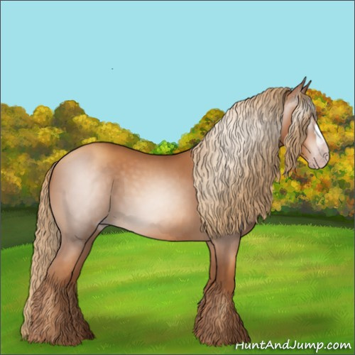 Horse Color:Gray Gold Champagne 