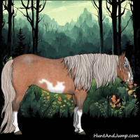 Horse Color:Silver Bay Roan Splash Frame 