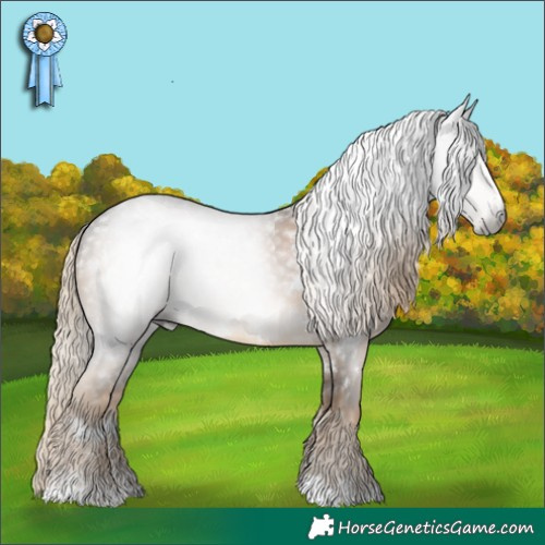 Horse Color:Gray White Spotted Chocolate Palomino Mushroom Appaloosa 