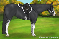 Horse Color:Black Sabino