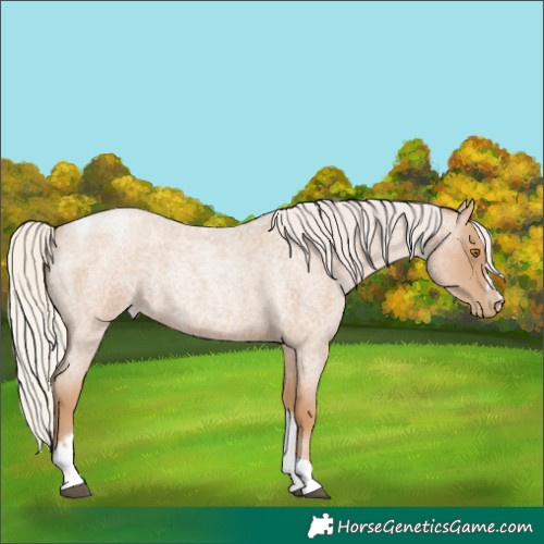 Horse Color:Silver Blue Roan Pearl Tobiano Frame 