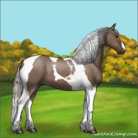 Horse Color:Silver Brown Dun Tobiano 