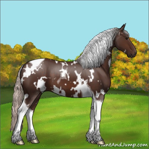 Horse Color:White Spotted Silver Brown Tobiano 