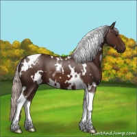 Horse Color:White Spotted Silver Brown Tobiano 
