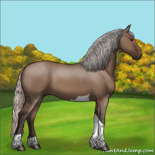 Horse Color:Silver Brown Dun Tobiano 