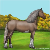Horse Color:Silver Brown Dun Tobiano 