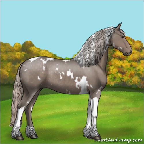 Horse Color:White Spotted Silver Black Tobiano Rabicano