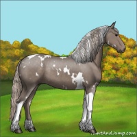 Horse Color:White Spotted Silver Black Tobiano Rabicano