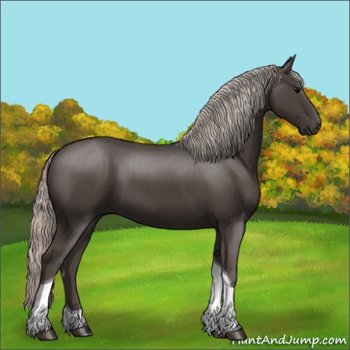 Horse Color:Silver Black Sabino Tobiano