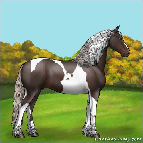 Horse Color:Silver Brown Tobiano 