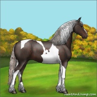 Horse Color:Silver Brown Tobiano 