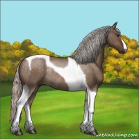 Horse Color:Silver Brown Dun Tobiano Rabicano 