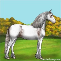 Horse Color:White Spotted Silver Brown Tobiano Rabicano 