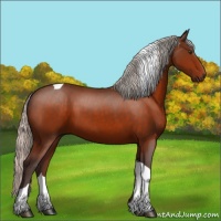 Horse Color:Silver Brown Tobiano 