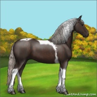 Horse Color:Silver Brown Tobiano 
