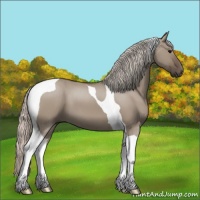 Horse Color:Silver Grullo Tobiano