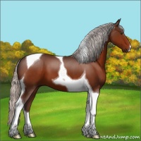 Horse Color:Silver Brown Tobiano