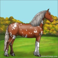 Horse Color:White Spotted Silver Brown Tobiano Appaloosa