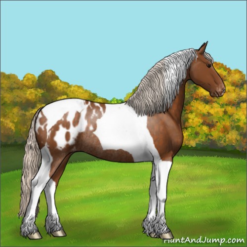 Horse Color:Silver Buckskin Tobiano Appaloosa Rabicano