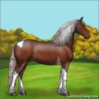 Horse Color:Silver Brown Tobiano Rabicano