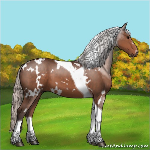 Horse Color:White Spotted Silver Brown Tobiano 