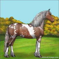 Horse Color:White Spotted Silver Brown Tobiano 