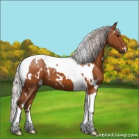 Horse Color:White Spotted Silver Buckskin Tobiano 
