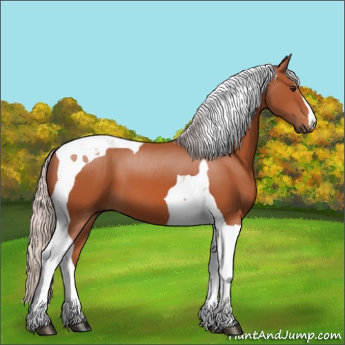 Horse Color:Silver Brown Tobiano