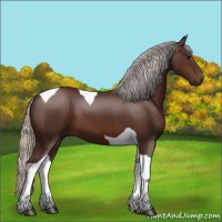 Horse Color:Silver Brown Tobiano 
