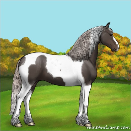 Horse Color:Silver Black Tobiano