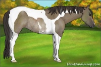 Horse Color:Smoky Grullo Tobiano Rabicano 
