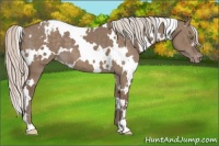 Horse Color:White Spotted Silver Grullo Varnish Brindle 