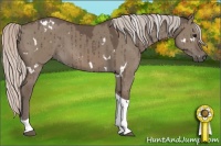 Horse Color:White Spotted Silver Grullo Tobiano Brindle