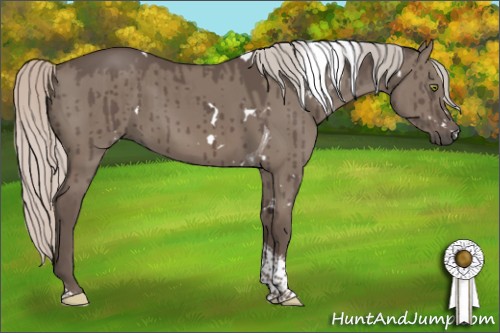 Horse Color:White Spotted Silver Grullo Tobiano Brindle 