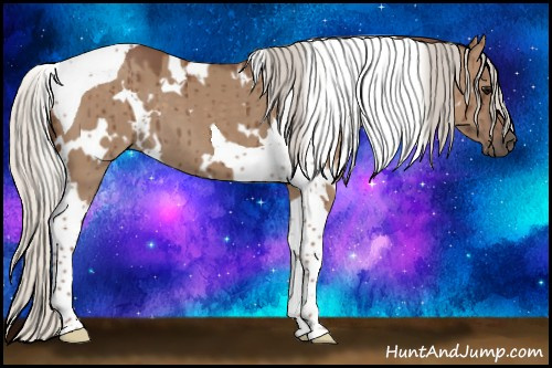Horse Color:White Spotted Silver Grullo Tobiano Brindle 