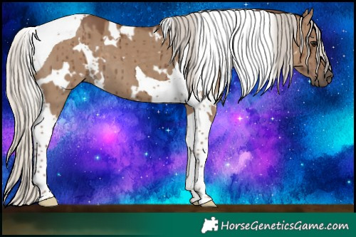 Horse Color:White Spotted Silver Grullo Tobiano Brindle
