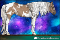 Horse Color:White Spotted Silver Grullo Tobiano Brindle 
