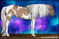Horse Color:White Spotted Silver Grullo Tobiano Brindle 