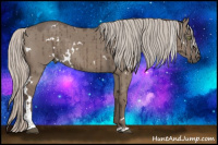 Horse Color:White Spotted Silver Grullo Tobiano Brindle 