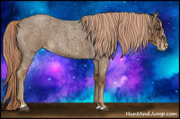 Horse Color:Chocolate Palomino Roan Appaloosa 