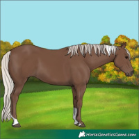 Horse Color:Silver Black Tobiano Rabicano