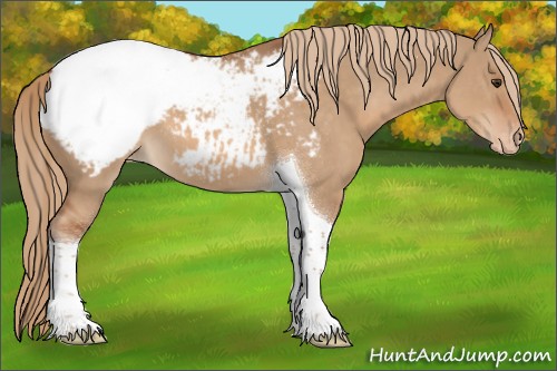 Horse Color:Red Dun Tobiano Snowcap