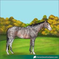 Horse Color:Brown Ice Sabino Rabicano 